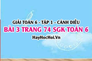Giải bài 3 trang 74 Toán 6 Tập 1 SGK Cánh Diều